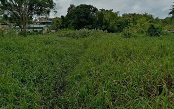 RESIDENTIAL LOTS WITH PAYMENT PLAN – IERE VILLAGE, PRINCES TOWN